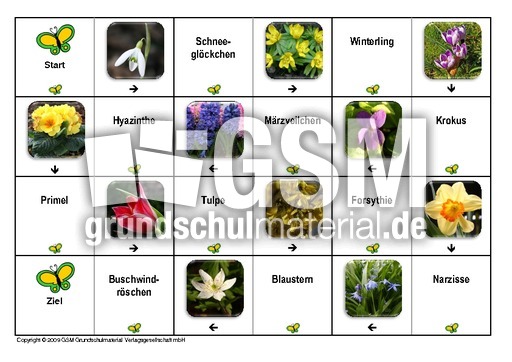 Domino-Frühlingsblüten-1.pdf